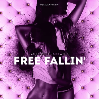 Cover Art for "Free Fallin' (Breakdawner Edit)"