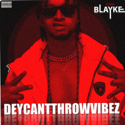 One of presentational pictures of fan campaign