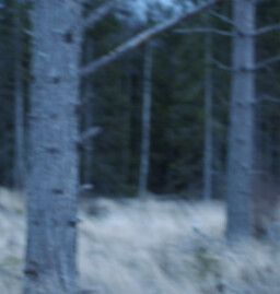 One of presentational pictures of fan campaign