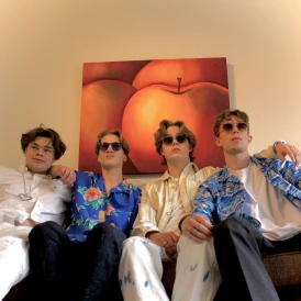 One of presentational pictures of fan campaign