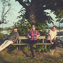 One of presentational pictures of fan campaign