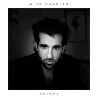 Cover Art for "Animal"